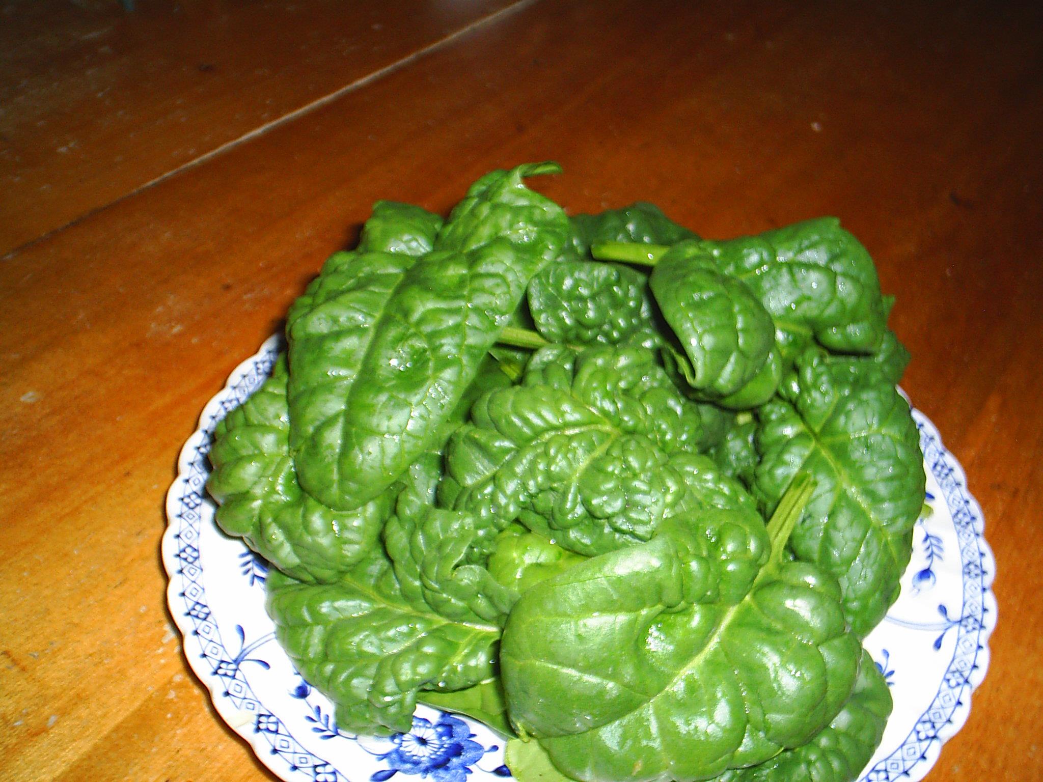 picture of spinach