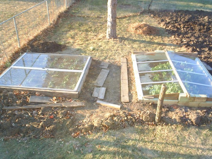 picture of two early cold frames in fall