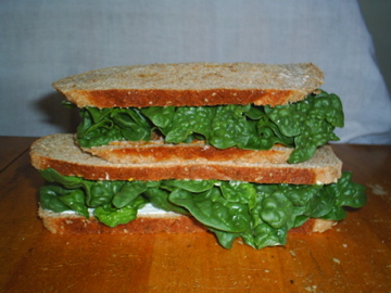 picture of spinach in sandwiches