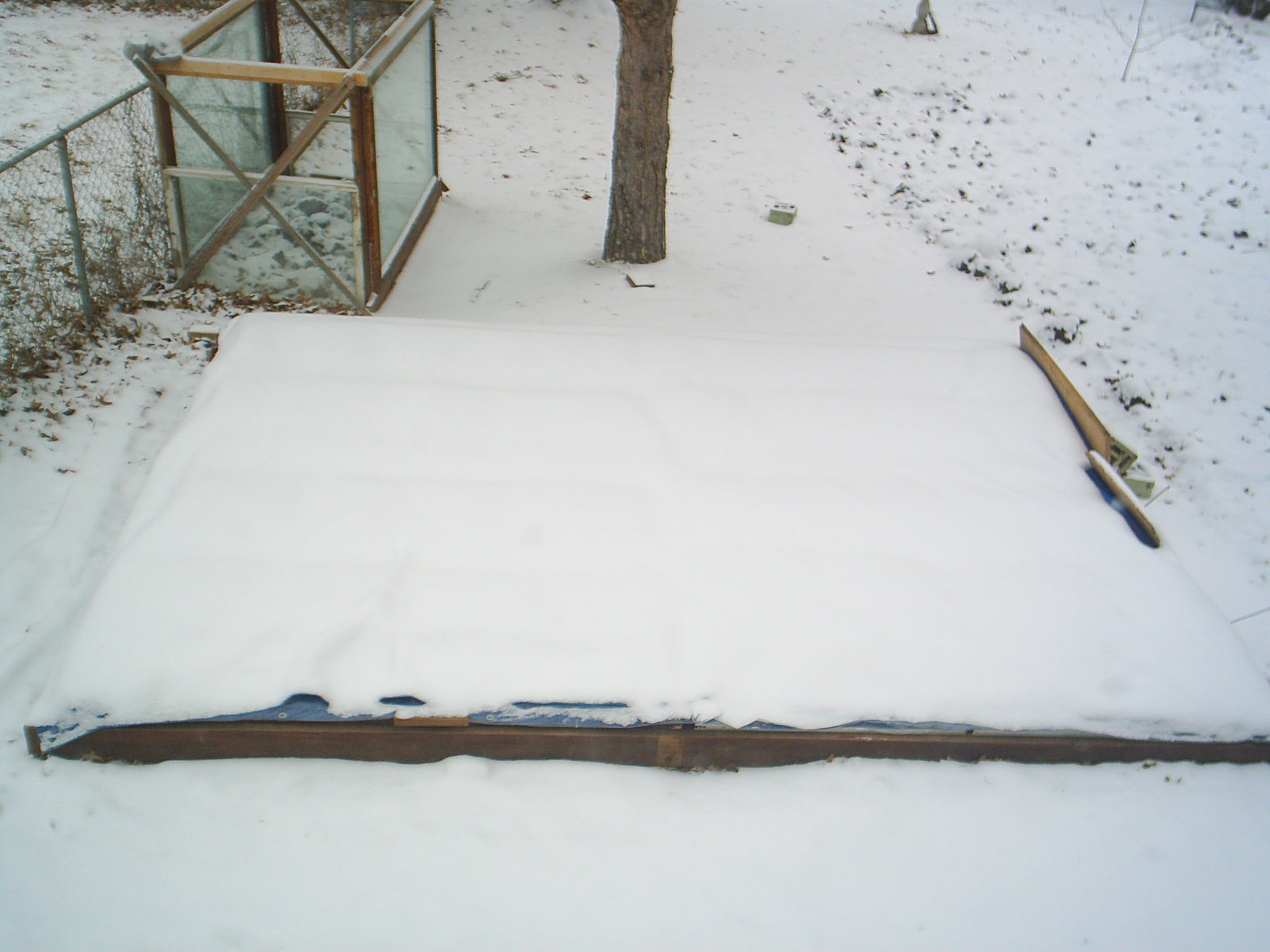 picture of snow-covered winter garden