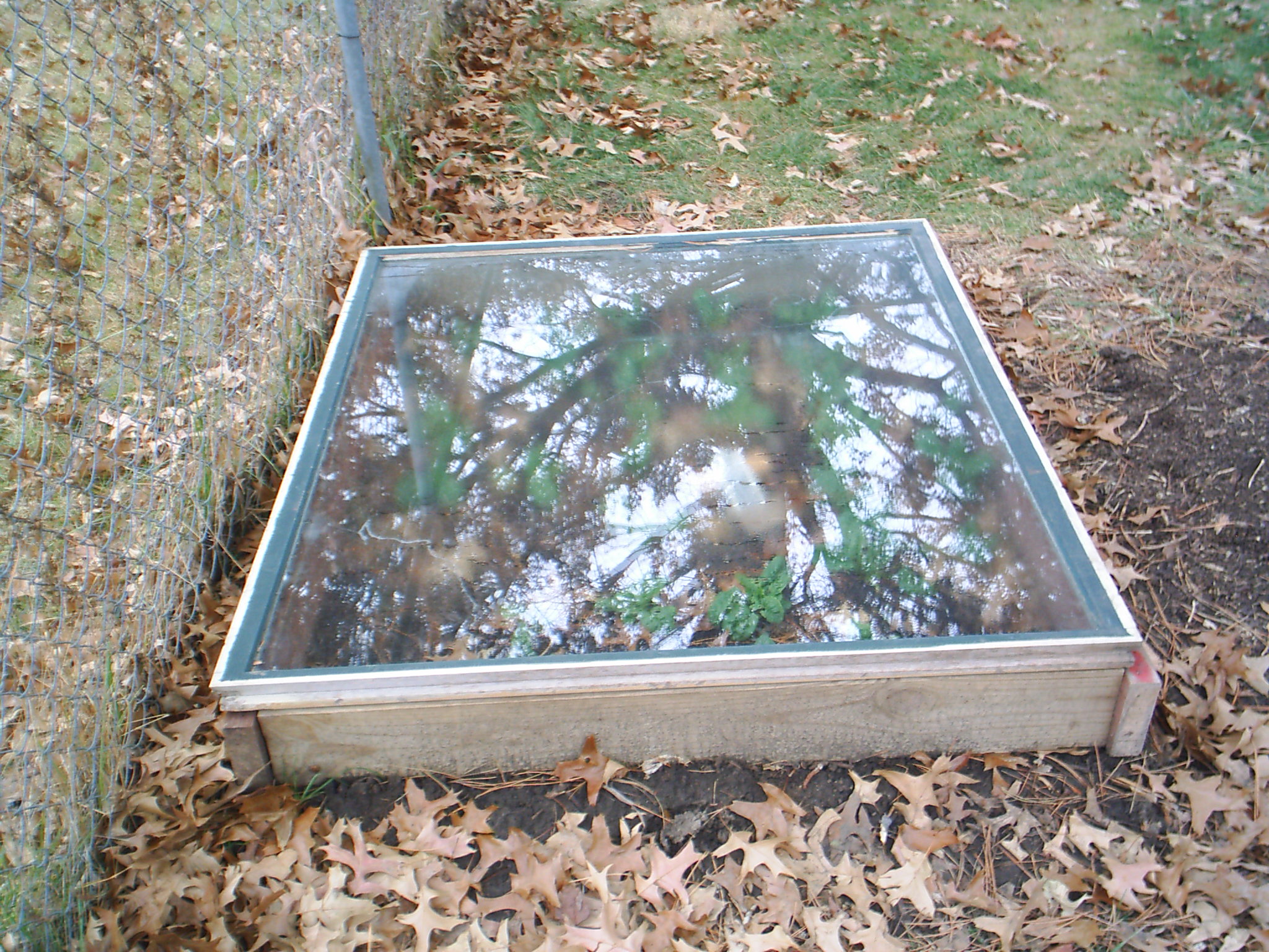 picture of small cold frame in winter